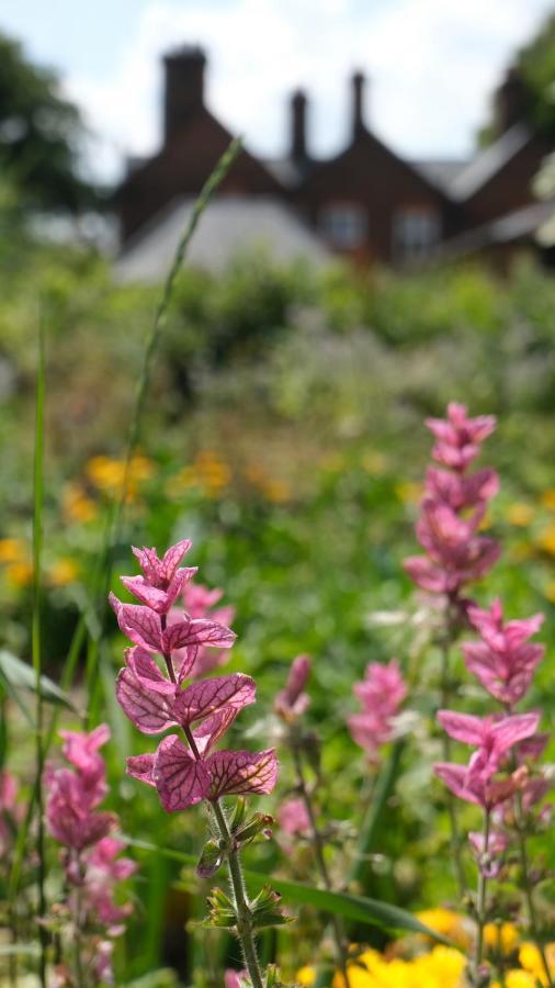 Beech Hill B&B Weaverham Buitenkant foto